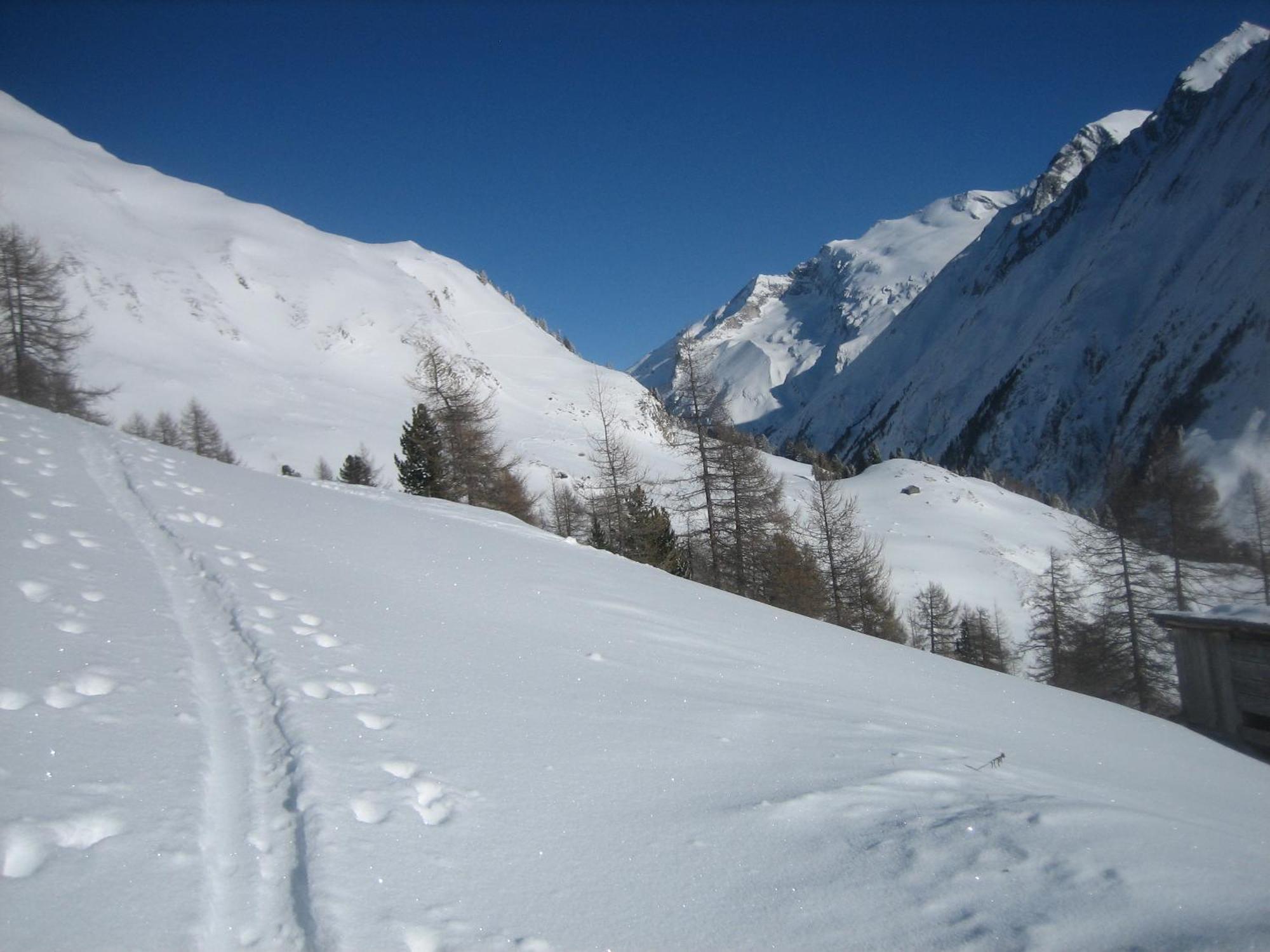 Haus Ursula Apartamento Kals-am Großglockner Exterior foto