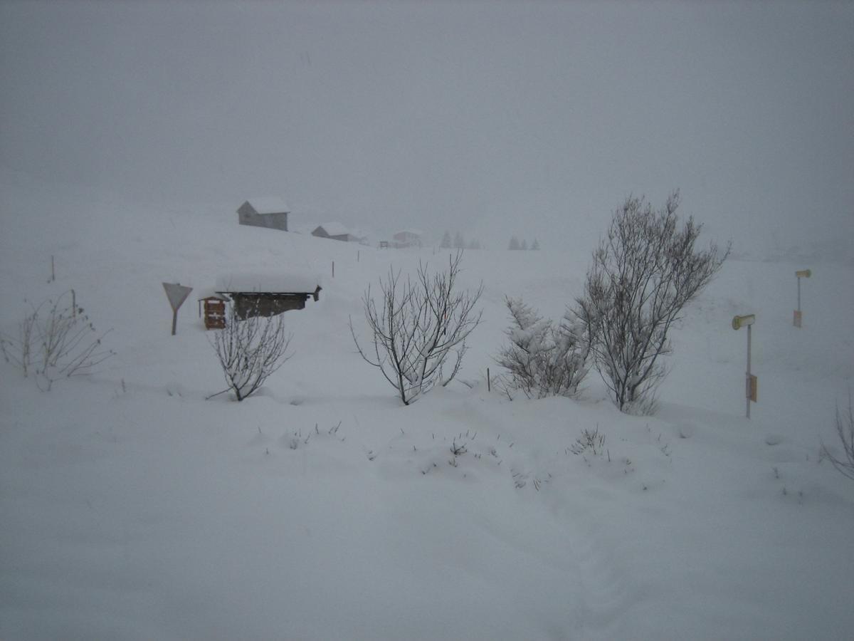 Haus Ursula Apartamento Kals-am Großglockner Exterior foto
