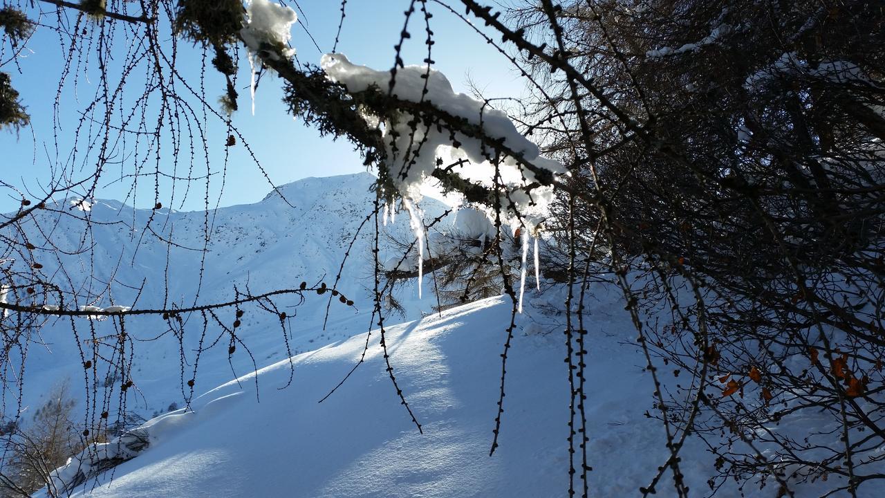 Haus Ursula Apartamento Kals-am Großglockner Exterior foto