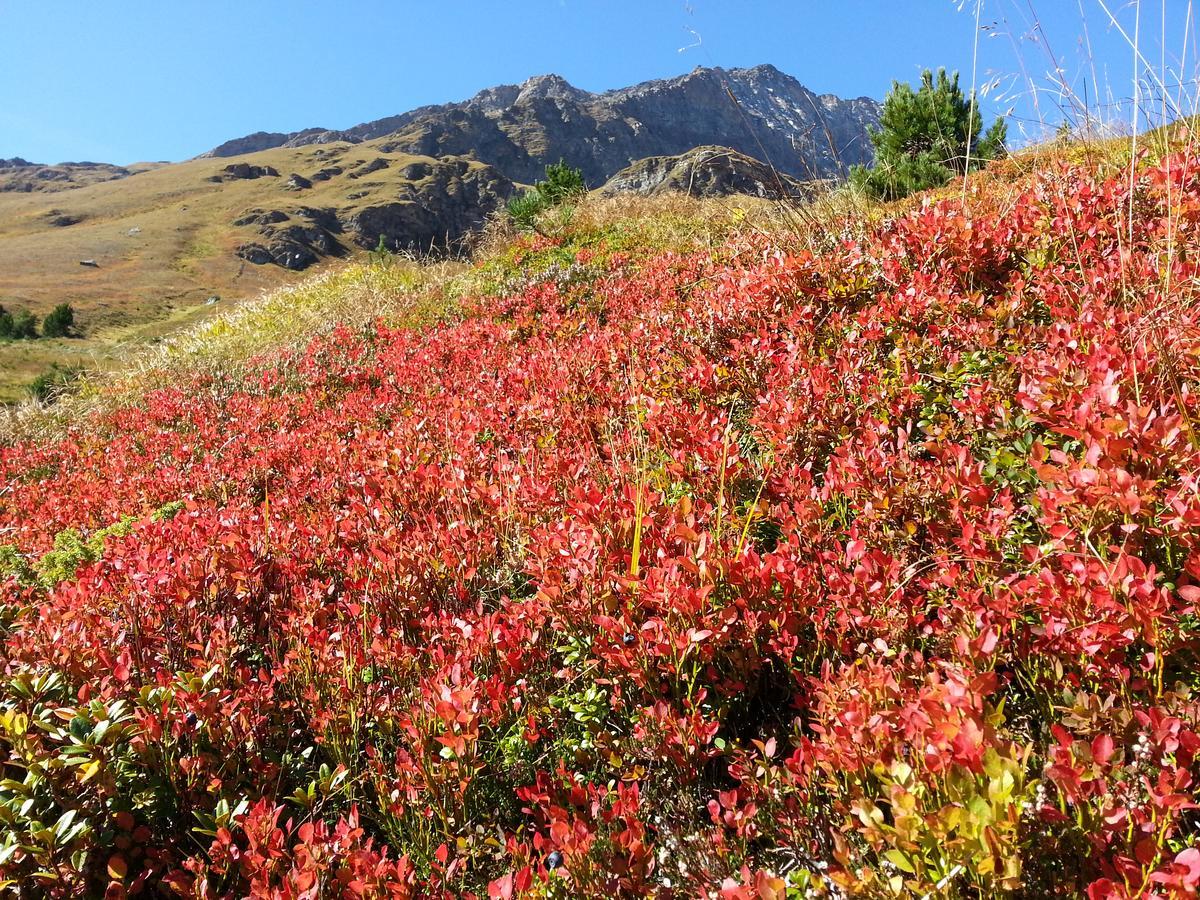 Haus Ursula Apartamento Kals-am Großglockner Exterior foto