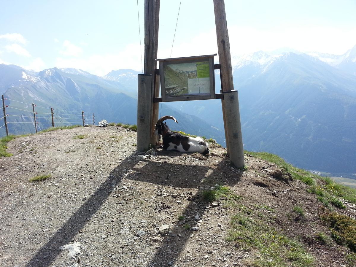 Haus Ursula Apartamento Kals-am Großglockner Exterior foto